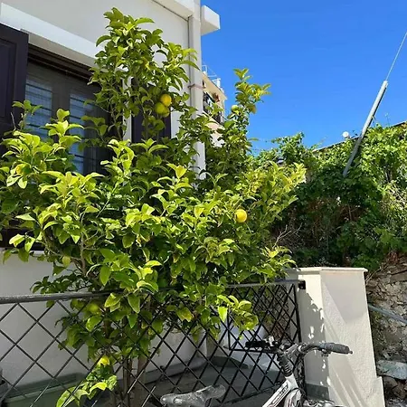 Apartment Anastasis View